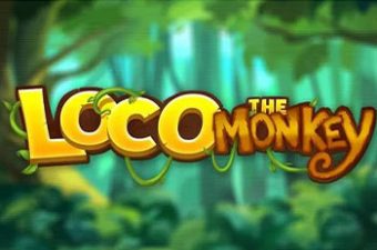 Loco the Monkey